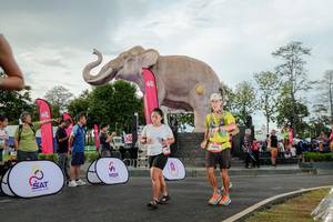 BIB: 
                            <button type="button" onclick="openModal(26528352)" class="btn btn-primary btn-sm float-right btn-popup" data-toggle="modal" data-target=".modal-high-quality">
                        <i class="fas fa-shopping-cart"></i> Add to Cart
                    </button>
                                            <button type="button" onclick="isThisMe(26528352, true)" class="btn btn-success btn-sm float-right btn-popup btn-isme hidden" data-toggle="tooltip" data-placement="bottom" title="นี่คือรูปของคุณใช่ไหม คลิกที่นี่เพื่อเอาเข้าอัลบั้ม">
                        <i class="fas fa-plus"></i> Add to album
                    </button>
                    <button type="button" onclick="isThisMe(26528352, false)" class="btn btn-warning btn-sm float-right btn-popup btn-isnotme hidden">
                        <i class="fas fa-ban"></i> Remove from album
                    </button>